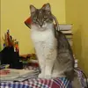 Отзыв от Зинаида Калинина